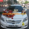 xe hoa tong trang do 2 - dau xe.jpg